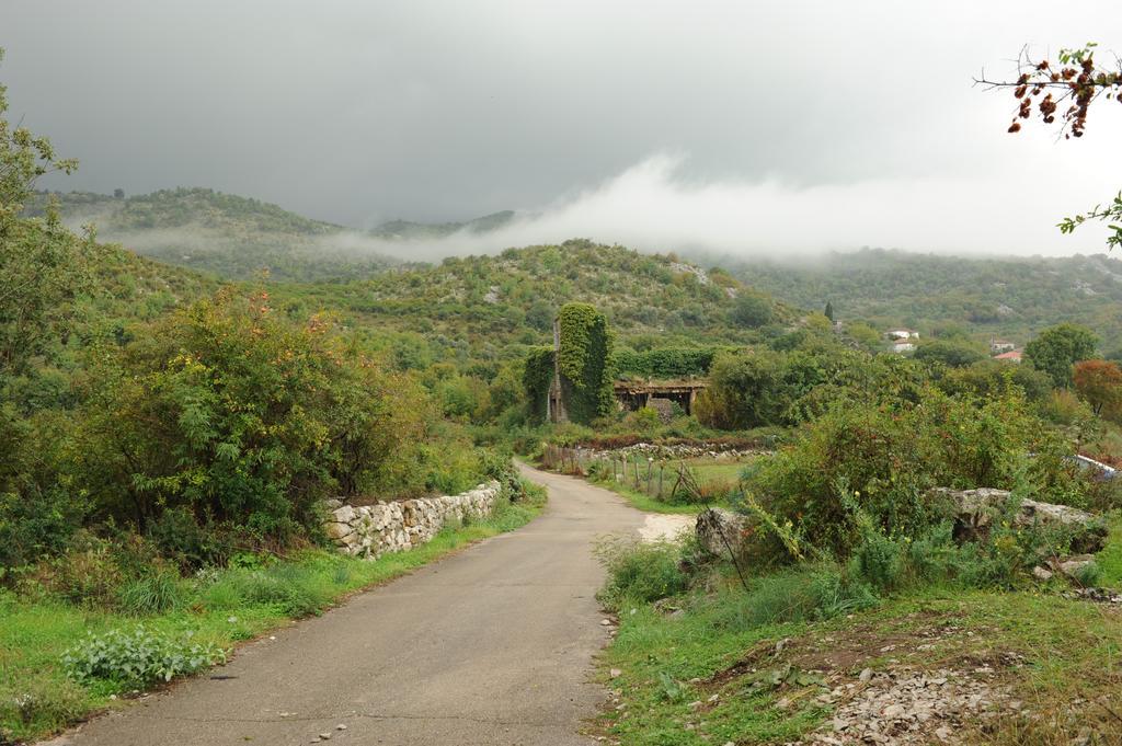 Holiday Home Skadar Lake Arbnes Rom bilde